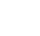 Icon Shield Check White